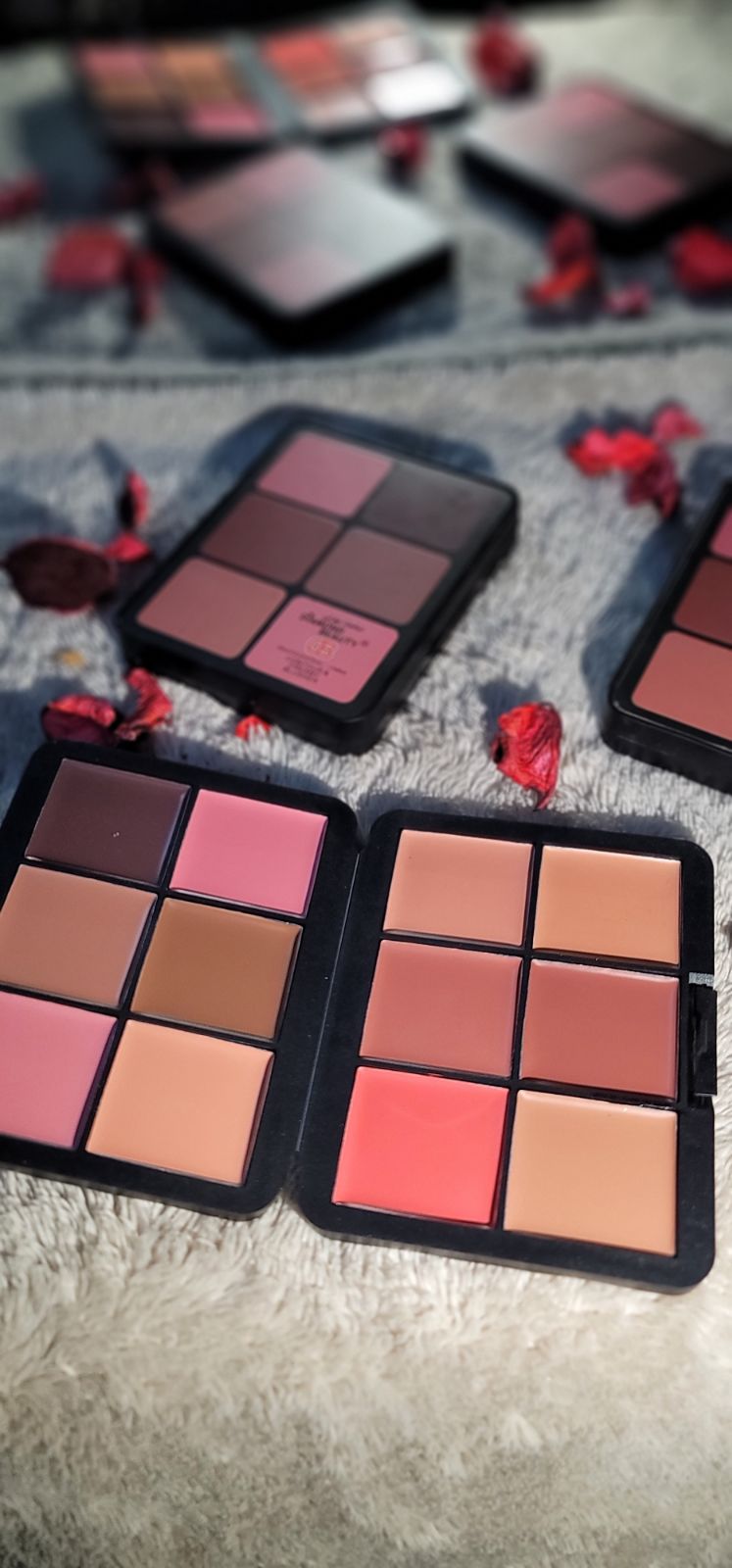 باليت البلاشر والكنتور